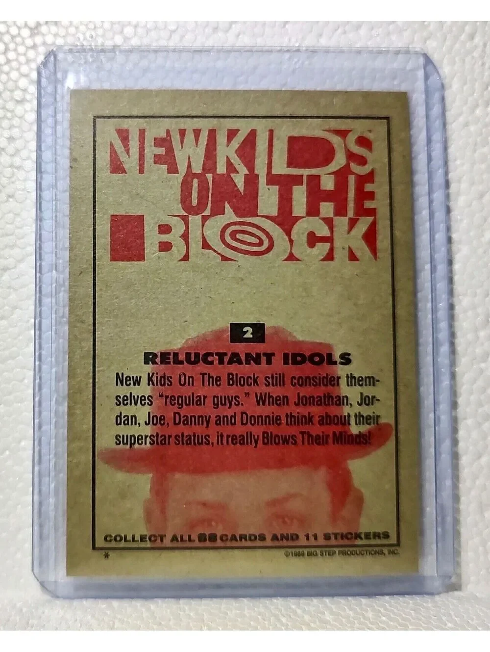 Reluctant Idols 1989 New Kids on the Block #2 Trading Card
